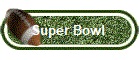 Super Bowl