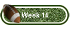 Week 14
